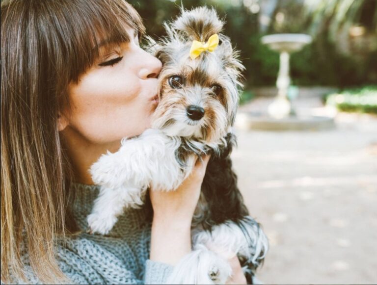 Descubre las razas de perros que hacen la compañía perfecta para mujeres
