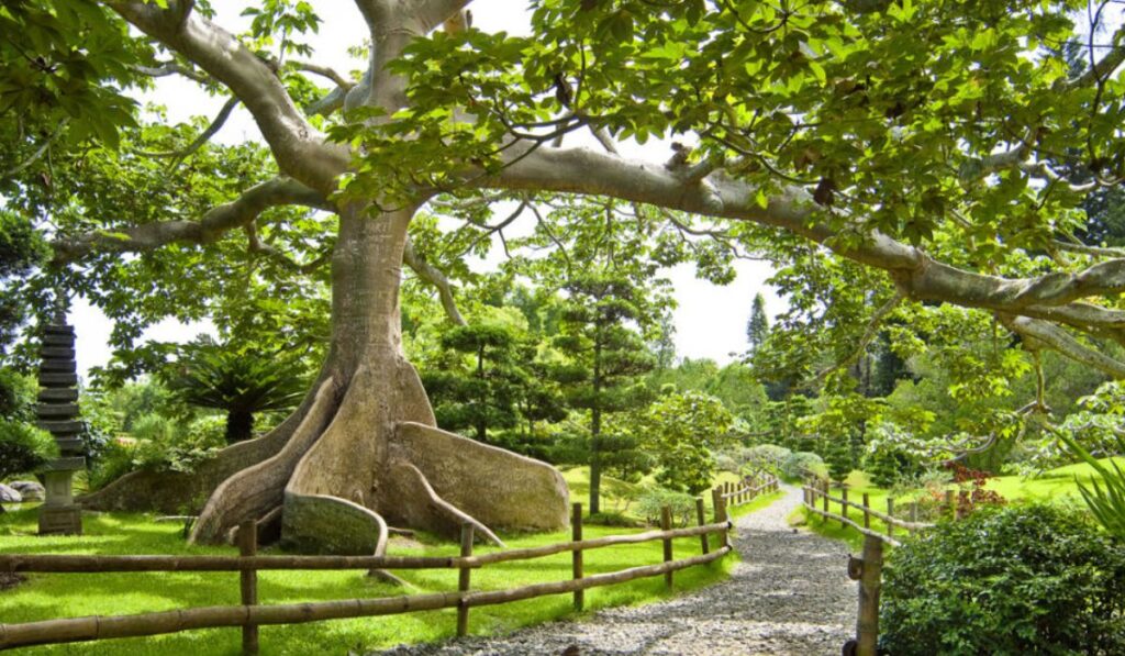 se recomienda a los visitantes llegar temprano para aprovechar las horas de menor calor y seguir las normas de cuidado del entorno natural.