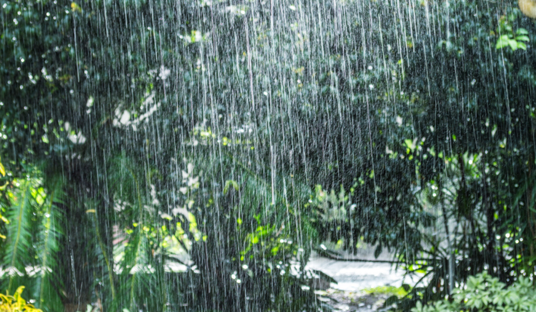 Sistema frontal junto a los efectos locales, favorecerá la ocurrencia de aguaceros