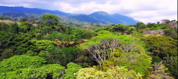 te imaginas siete días en la naturaleza para alinear mente, cuerpo y espíritu