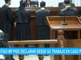 Testigo de MP pide declarar desde su trabajo en caso Pulpo | El Despertador SIN