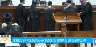 Testigo de MP pide declarar desde su trabajo en caso Pulpo | El Despertador SIN