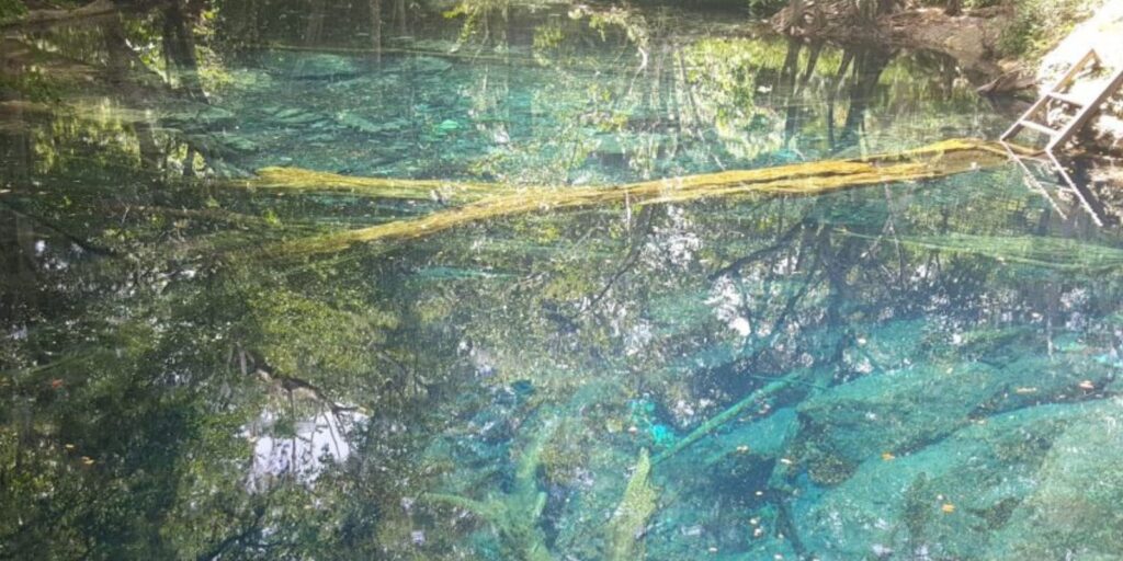 un cenote de aguas cristalinas