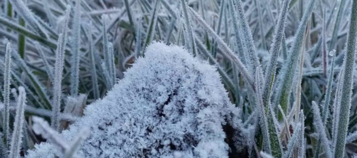 Valle-Nuevo-en-RD-experimenta-temperaturas-gélidas-de--2°C-debido-a-masa-de-aire-polar