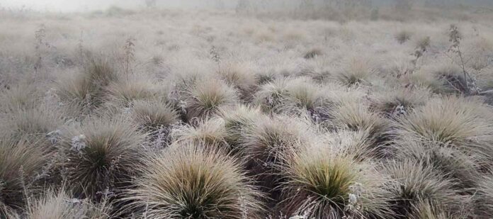 Valle-Nuevo-registró-temperaturas-de--1-°Celsius-este-lunes