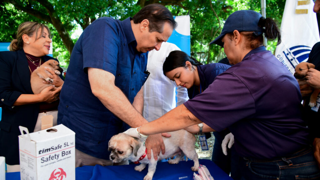 Veterinarios vacunando perros y cachorros al aire libre.