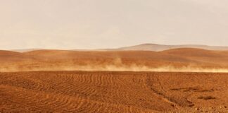 ¡aires del desierto! ¿cómo el polvo del sahara altera el clima y la salud de los dominicanos