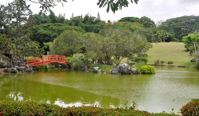 ¡Planifícate! El Jardín Botánico ajusta su horario por Semana Santa