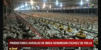 ¿escasez de pollos, según productores avícolas