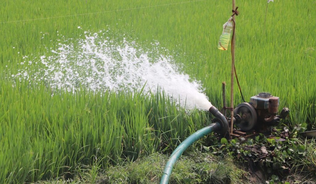 ¿qué hace que estas provincias sean tan exitosas